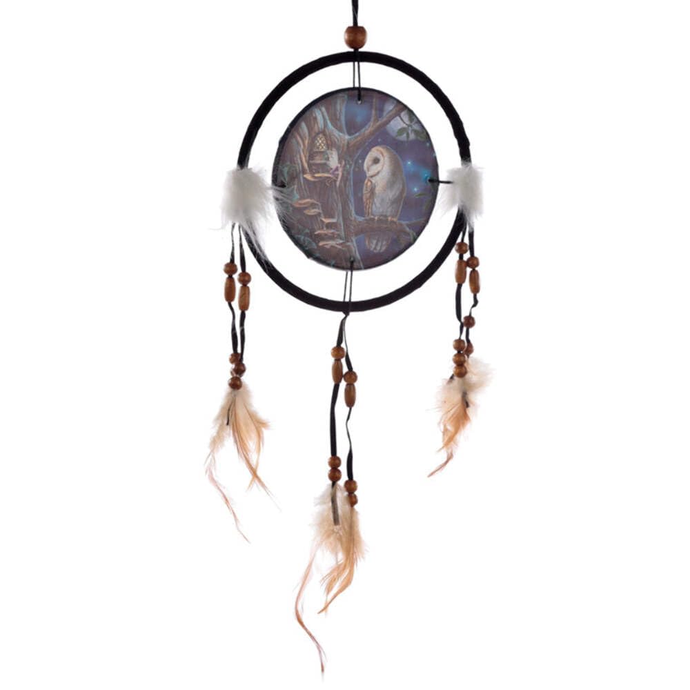 Puckator Multicolored Dcpb06l Lisa Parker Fairy Tales Owl & Fairy Dreamcatcher 16Cm