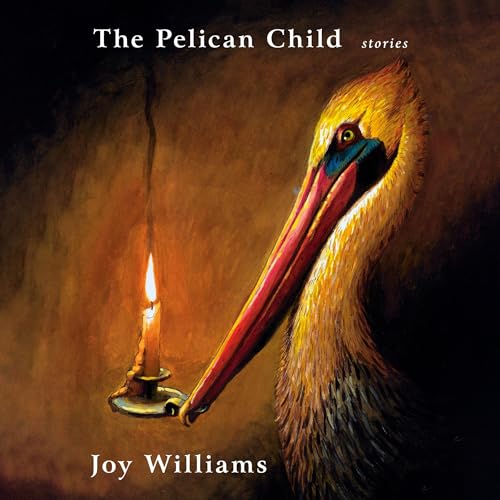 The Pelican Child Audiolibro Por Joy Williams arte de portada