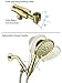 G-Promise High Pressure 6 Setting Detachable Handheld Shower Head with Extra Long Flexible Metal Hose, Adjustable Metal Holder, Polished Brass Finish (2.5GPM)