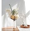 120PCS White Dried Pampas Grass Decor, 17-inch Pompas Floral, Dry Flowers for Decoration, Pampas Grass in Bulk Tall, White Bunny Tails Dried Flowers for Boho Wedding #5