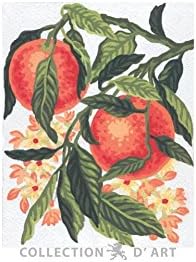 Needlepoint printed canvas