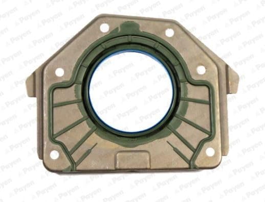 Payen Joints spi & joints toriques LK5001