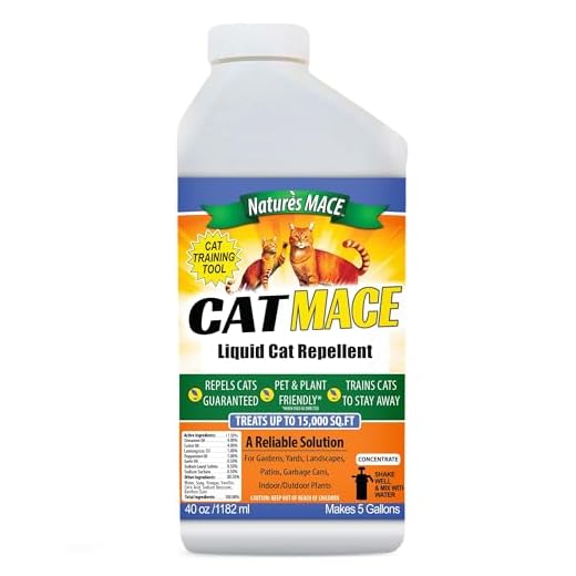 Cat Repellent for Effective Training