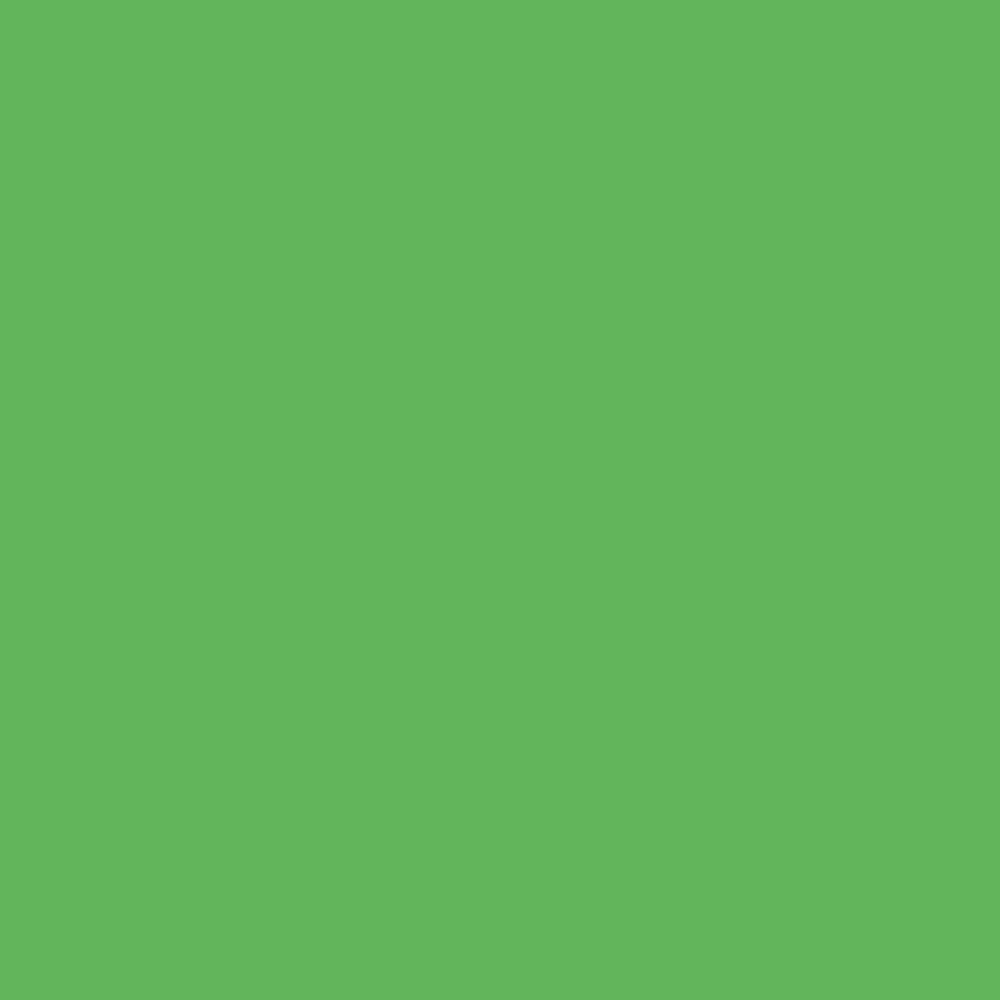 Inapa farbiges Druckerpapier, buntes Papier tecno Colors: 80 g/m², A4, 2.500 Blatt (5x500), intensivgrün