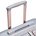 DELSEY PARIS Cruise 3.0 Hardside Expandable Luggage with Spinner Wheels, Platinum, Carry on 20 Inch