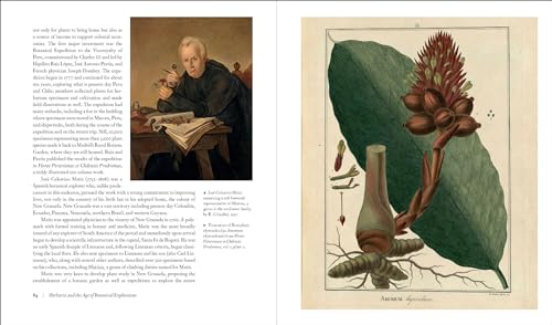 Herbarium: The Quest to Preserve and Classify the World's Plants