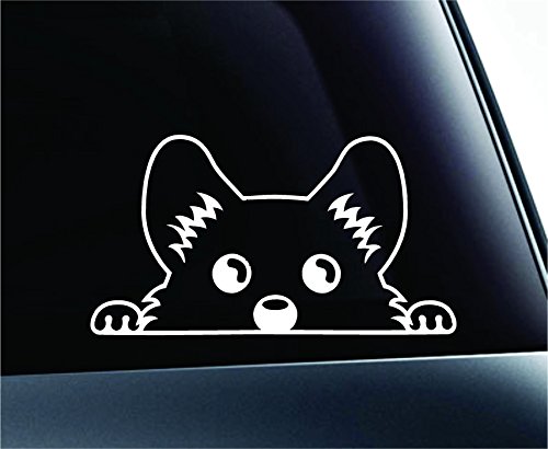 ExpressDecor Corgi Peeking Dog Symbol Decal Funny Car Truck Sticker Window (White)