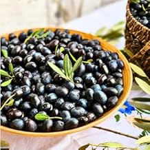 olive plant rare seeds