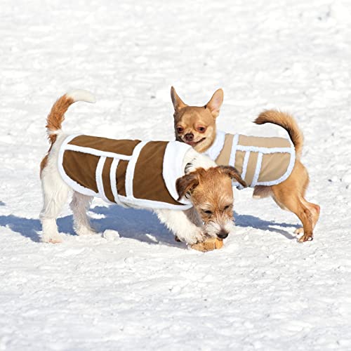 Bwogue Small Dog Warm Winter Coat - Shearling Fleece Dog Jackets For Small To Medium Breeds Dog #TOP5