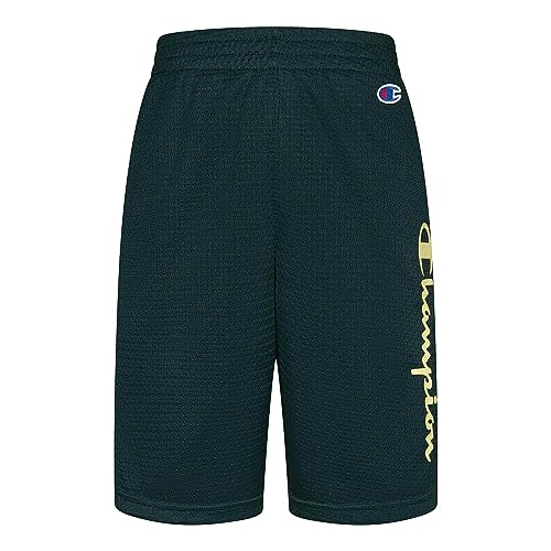 Champion Boy's Vertical Script Mesh Shorts (Big Kids)