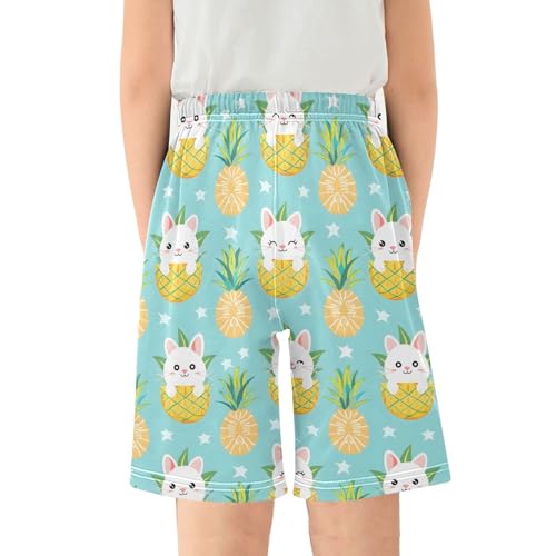ALAZA Cute Cat Kitten Pineapple Pajama Shorts Sleep Shorts Pant Lounge Pajama Bottoms Elastic Waist with Pockets2