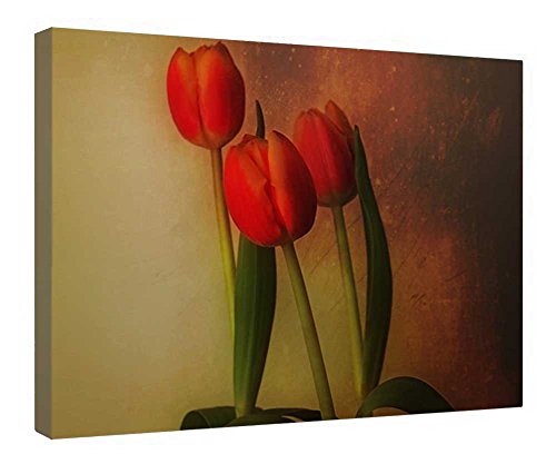 Impression sur toile de tulipes avec cadre en bois de 40 x 50 cm pour salon