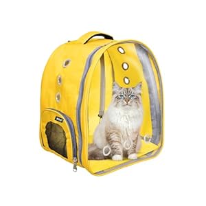AA CREATION X Buraq Pet Transparent Cat & Small Dog Puppy Kitty Shihtzu Carriers for Breathable Airline Travel Approved Air Ventilation Backpack Size 13.5×10.5×16.5 inch (Yellow, Transparent Pet Bag)