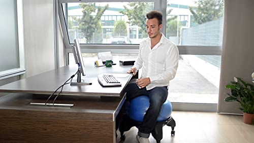 Chaise ergonomique avec ballon siège de bureau postural réglable