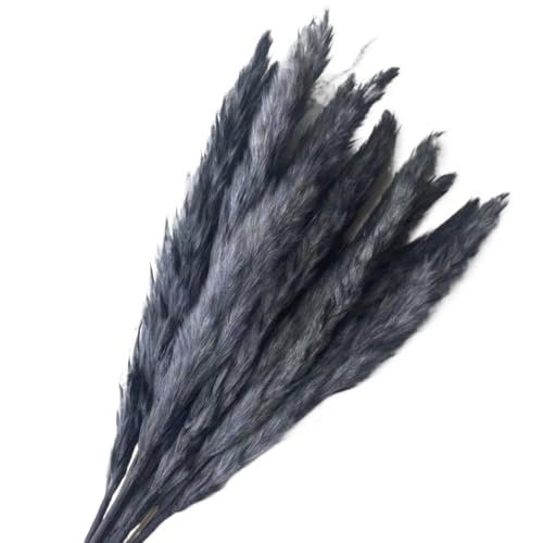 Ramo de Hierba Pampas Secas Boho Grande 15 pcs miniatura 1