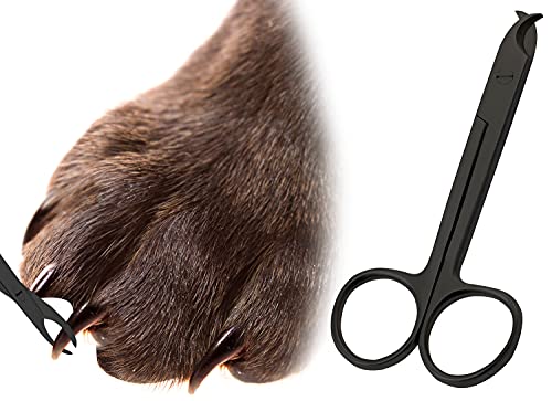 Image of Pet Nail Clippers for Small Animals - Best Cat Nail Clippers & Claw Trimmer for Home Grooming Kit - Professional Grooming Tool for Tiny Dog Cat Bunny Rabbit Bird (Black)