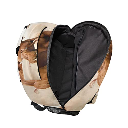 Custom Horse Backpack for Girls Personalized Your Name Text Bookbag Horses Animal School Backpack Bookbag 3rd 4th 5th Grade Elementary Students Daypacks2