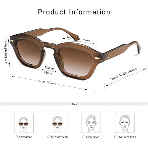 Small Retro Square Sunglasses for Women Mens Rectangle Sunnies AP36804