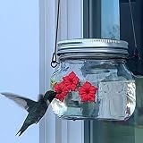 2023Newest Mason Jar Hummingbird Feeder with Three Ports, Clear Little Bird Wild Birds Feeding Jar w