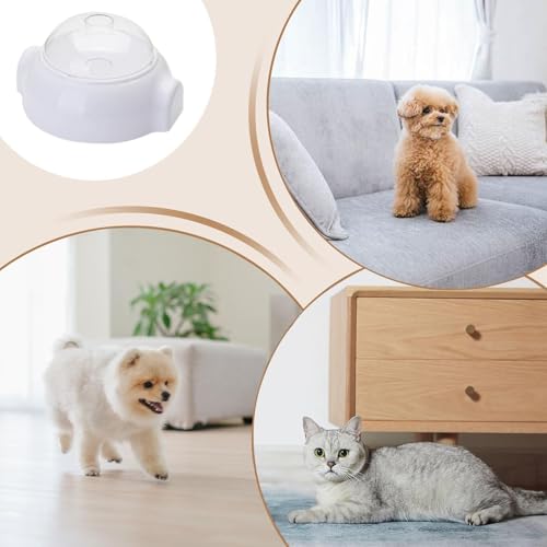 Puzzle pour chien distributeur de friandises et jouet stimulation cérébrale