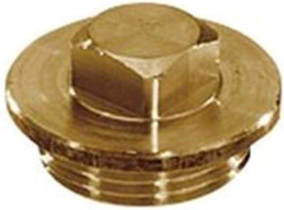 21003.020.2 Sealing Plug with Square 2 Inch Brass