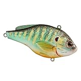 Fishing Tackle Lures Pumpkin Seed Sinking Natural-Gloss