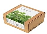 Click and Grow Smart Garden Parsley Plant Pods, 9-Pack