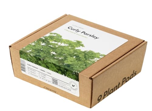 Click and Grow Smart Garden Parsley Plant Pods, 9-Pack