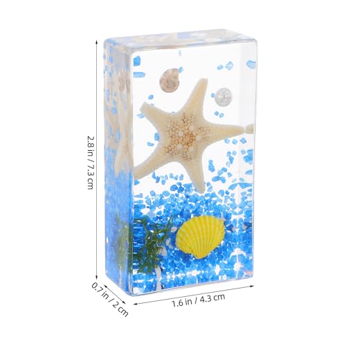 Espécimen educativo de estrella de mar para decoración científica escolar 2