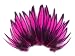 Hen Feathers, Laced Hen - Hot Pink Laced Hen Cape Feather - 1 Dozen Feathers