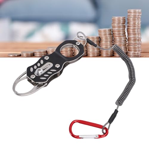 Ymiko Tester Kit, Portable Durable High Accuracy Gold Silver Sound Resonance Verification Tool for Collectors Stainless Steel Aluminum Alloy Wood 12x3.8cm 180g