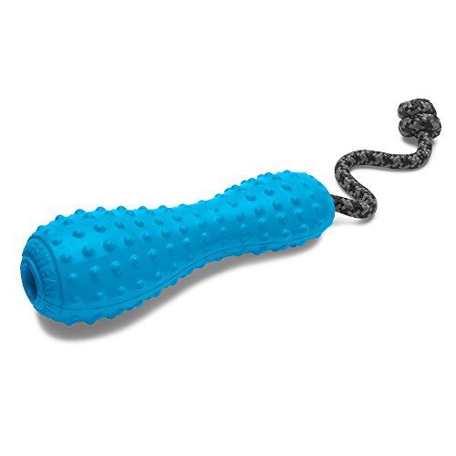 Ruffwear, Gourdo Natural Rubber Throw Toy for Dogs with Rope Handle, Metolius Blue, Large