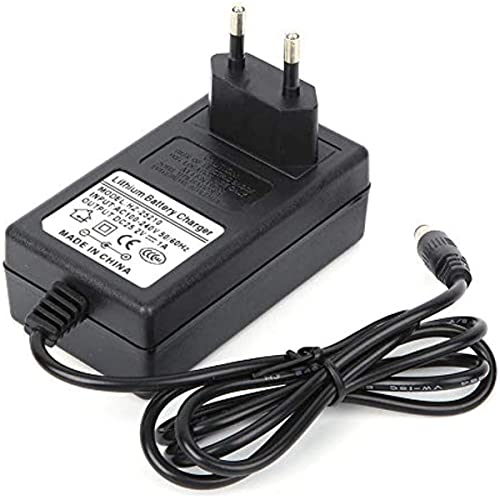 Ezweiji Alimentatore da 24 V, alimentatore di rete per pistola massaggiante, cavo di alimentazione, adattatore di rete integrato per pistola da 24 W, cavo di alimentazione (DC 24 V/1 A, spina europea)