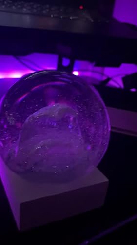Amazon.co.jp: CoolSnowGlobes おしゃれなスノードーム ブラック