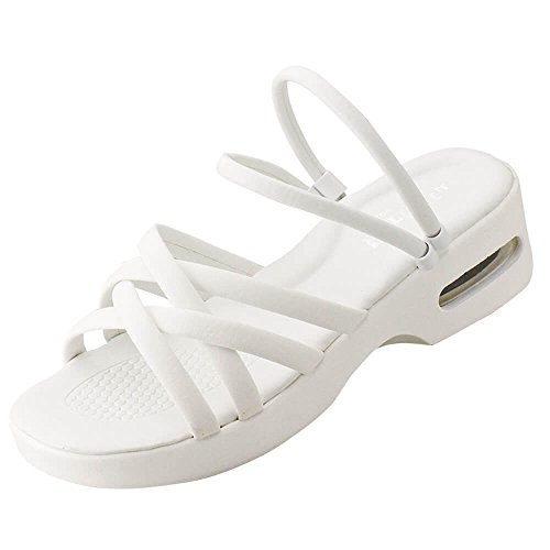 i[X[ }`Xgbv2WayGA[T_  Ōt i[X T_ fB[X LL zCg 148213A