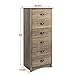 Prepac Salt Spring Rustic 6-Drawer Tall Dresser for Bedroom, Farmhouse Dresser Chest of Drawers 19