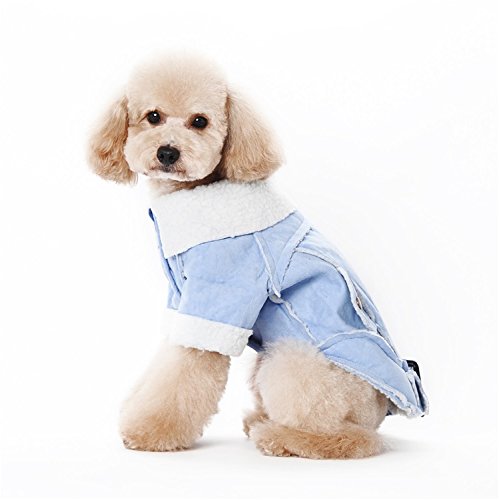 Sweat à capuche polaire pour chien et chat Pety manteau chaud C05 taille XXL