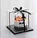 XININSUN 6Pcs Tall Cake Boxes Clear cake Box with Ribbon, 12x12x 10inch,Ideal for Large 10