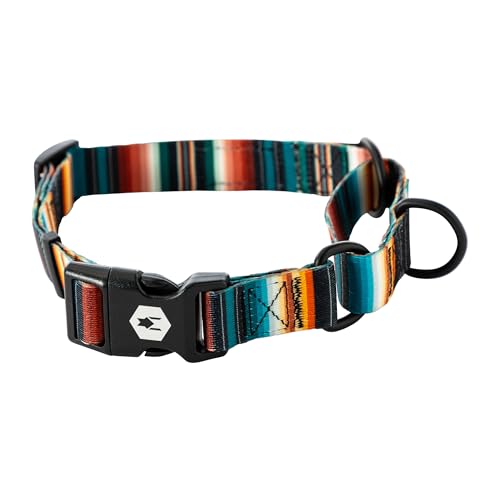 Wolfgang Heavy Duty Martingale Dog Collar with Quick Release Nylon Buckle for Walking & Training, LostArt Print, Medium
