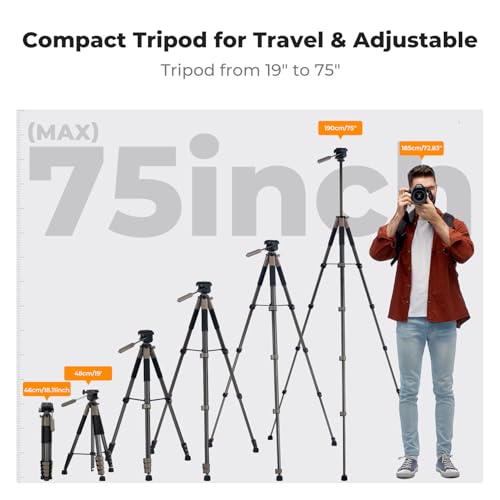 Image of K&F CONCEPT 75 inch Aluminum Camera Tripod, Lightweight and Compact for Travel | Compatible with Canon Nikon DSLR Camera, Cellphone Clip and Remote Control for Shooting and Video Recording S255A3+BV01