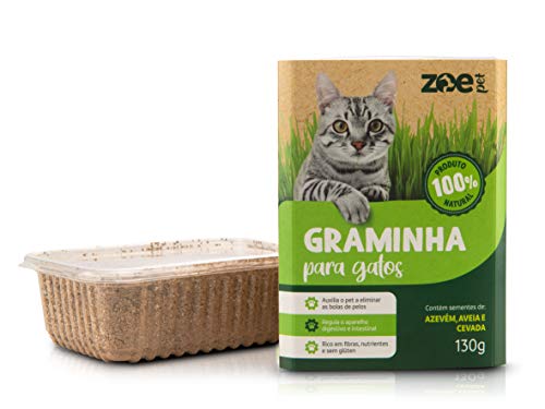ZoePet Graminha Para Gatos