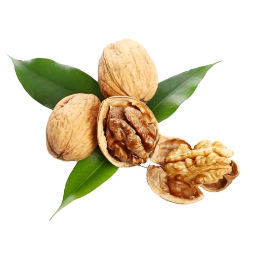 Natural Food Walnuts in Shell 2kg