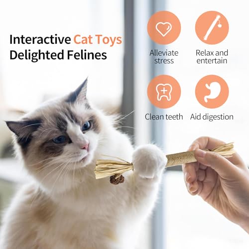 YWAOOH Catnip Toys with Silvervine for Cats, Cat Chew Toy for Kitten Teething, Interactive Cat Toy for Indoor Cats, Silvervine Sticks Cat Toys - Thumbnail 5