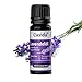 Produktbild Lavendelöl Naturrein - Ätherisches Öl - Therapeutische Qualität  Lavendel Öl für Aromatherapie, Aromadiffuser - Aus der Apotheke - 10 ml