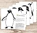 Penguins Jumping Flying Funny Vinyl Wall Sticker Decor Decal Mural Kitchen Pets