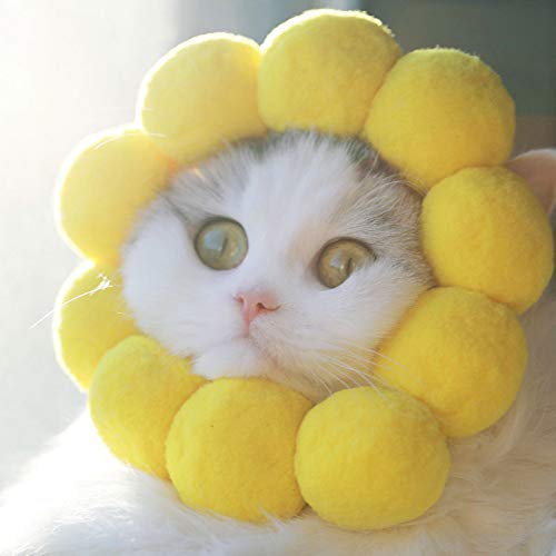 Amazon | MIGOGO 猫用コスプレ ひまわり ペット帽子 かぶりもの 帽子