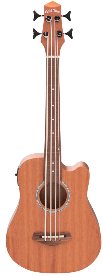 Gold Tone M-Bass マイクロベース