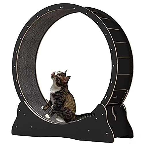 Rueda de ejercicio para gatos de interior para animales pequeños, juguete duradero para correr para mascotas para fitness y pérdida de peso, perfecto para jugar y actividades en interiores