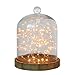 Stonebriar Small Stonebriar 8 Inch Clear Glass Dome Cloche with Rustic Wooden Base, Brown