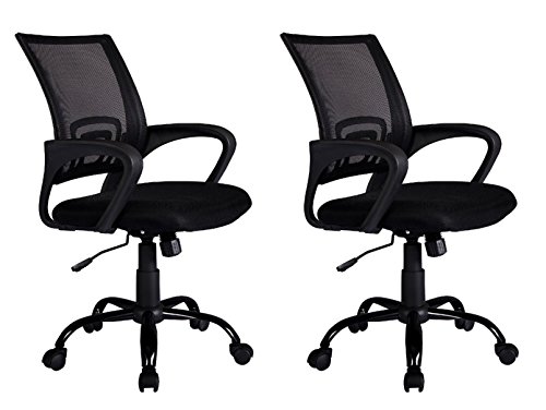 Office Chair Desk Chair Computer Chair with Lumbar Support Task Rolling Racing Style Swivel Executive High Back Ergonomic Chair for Women Adults,Black and Light Grey